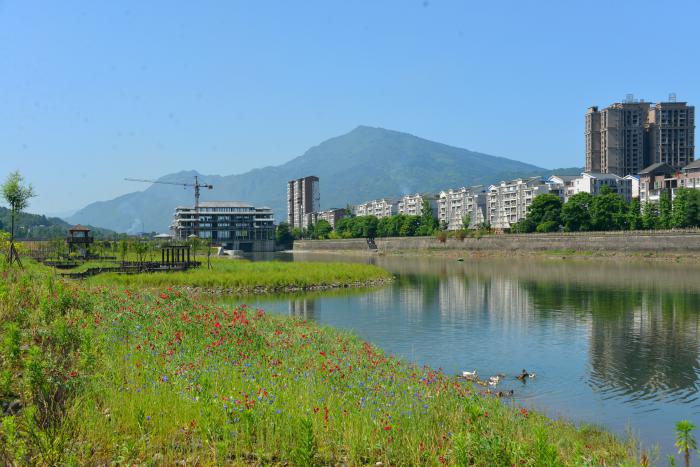 安谷水电站放水闸湿地