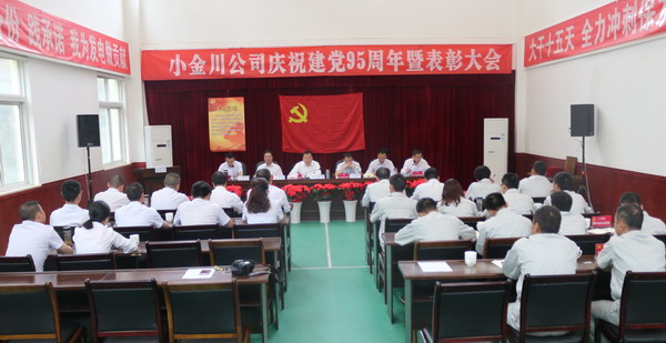 庆祝建党95周年暨表彰大会