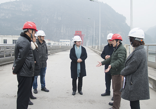 沙湾区政府代理区长汪秀丽赴圣达公司调研指导工作